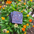Enhanced soap bars in calendula flowers photo