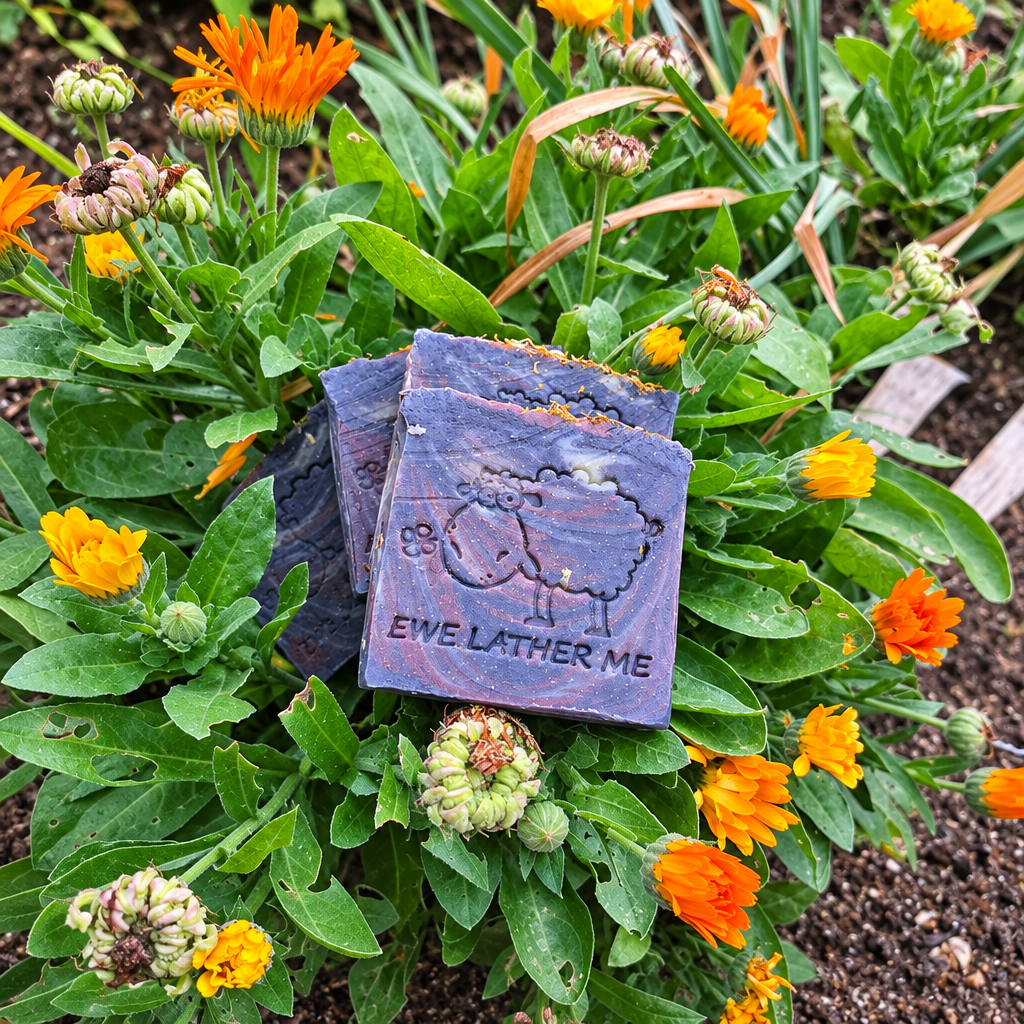 Enhanced soap bars in calendula flowers photo