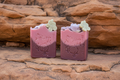 Kakadu Plum Botanical Bar soap bars on sandstone rocks