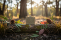 Boronia  Soap Bar
